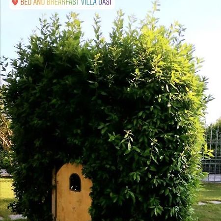 Villa Oasi San Giuliano Terme Luaran gambar
