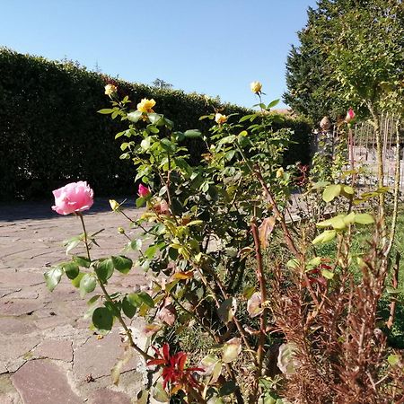 Villa Oasi San Giuliano Terme Luaran gambar