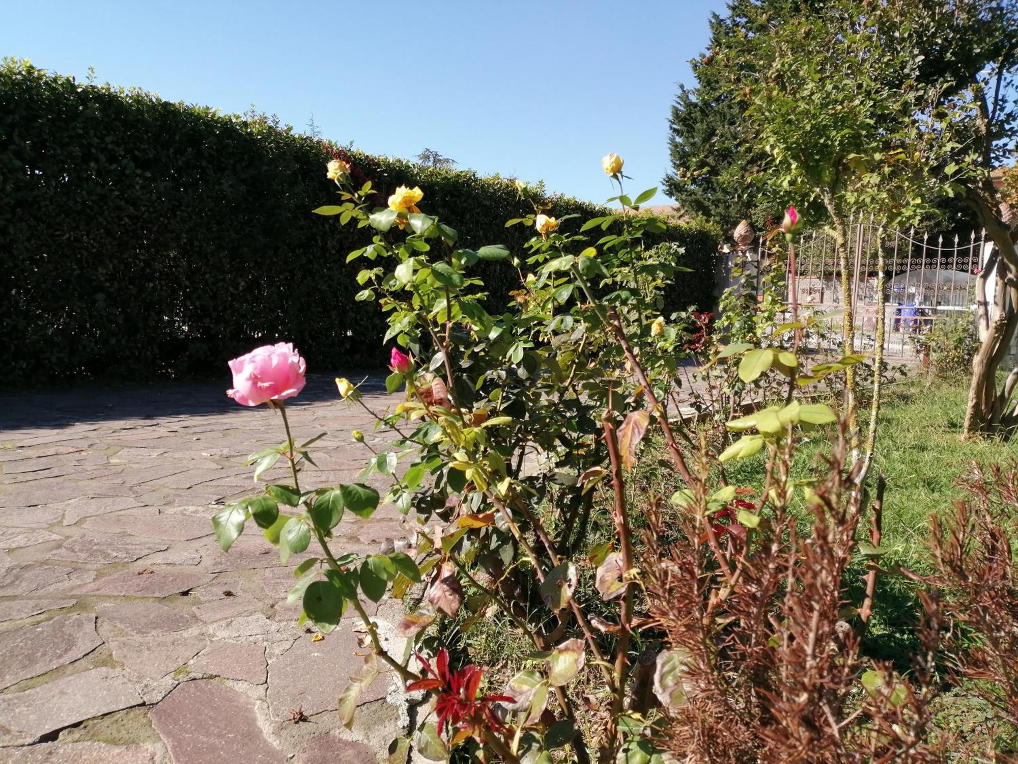 Villa Oasi San Giuliano Terme Luaran gambar